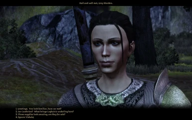 Mod categories at Dragon Age: Origins - mods and community