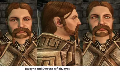 DM Dwayne preset