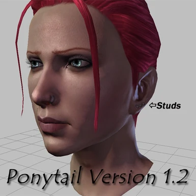 v1-2 Ponytail Hair