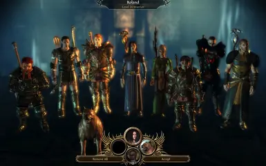 Dragon Age: Origins - Awakening companions