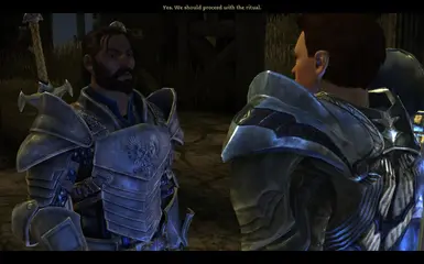 Grey Warden Armour Pack at Dragon Age 2 Nexus - mods and community