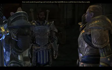 Grey Warden Armour Pack at Dragon Age 2 Nexus - mods and community