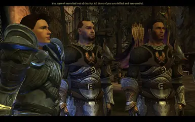 Grey Warden Armour Pack at Dragon Age 2 Nexus - mods and community