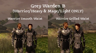 Retexture: Grey Warden B variants