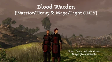 Retexture: Blood Warden