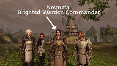 Retexture: Aremeta Blighted Warden Commander
