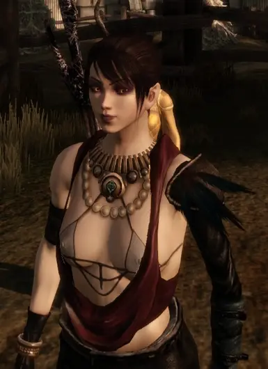 Lady of the forest Mesh replacer at Dragon Age: Origins - mods and community