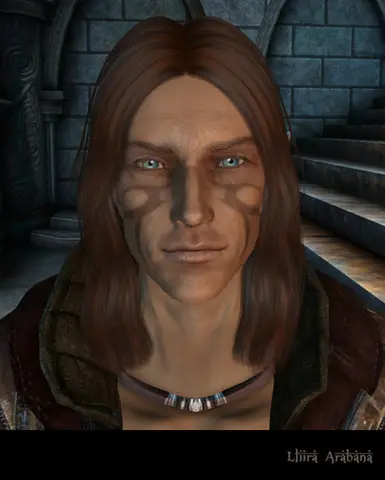 The Hairald of Andraste at Dragon Age: Origins - mods and community