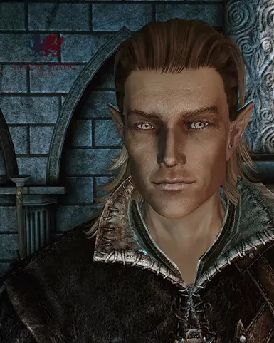 The Hairald Of Andraste At Dragon Age: Origins - Mods And Community