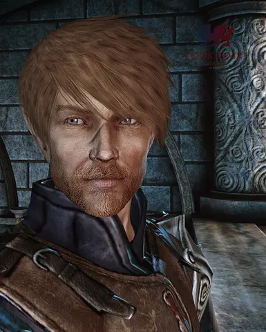 The Hairald of Andraste at Dragon Age: Origins - mods and community