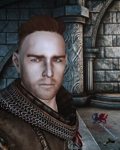 The Hairald of Andraste at Dragon Age: Origins - mods and community