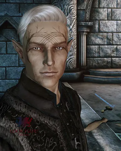 The Hairald of Andraste at Dragon Age: Origins - mods and community