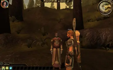 Dalish Elf Male Cleric