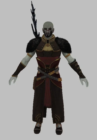 version as human with staff and magister lord robe