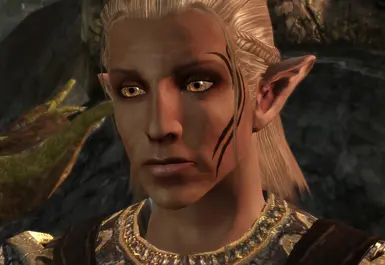 elf update dragon age