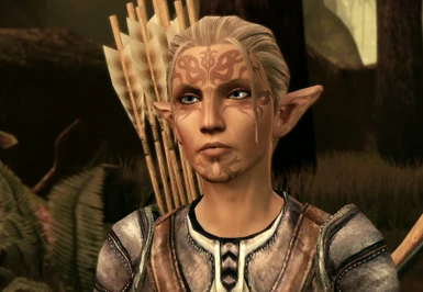 dragon age origins elf update