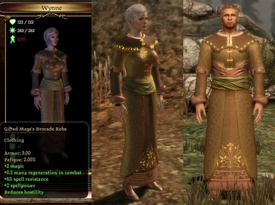 Gifted Mage Brocade Robe