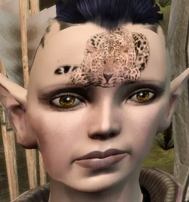 pdcleoc