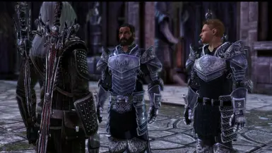 Grey Warden Armour Pack at Dragon Age 2 Nexus - mods and community