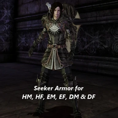 Heavy Seeker Armor