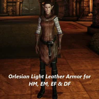 Orlesian Light Leather Armor