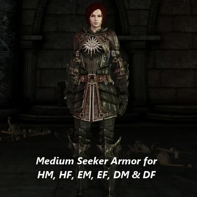 Medium Seeker Armor