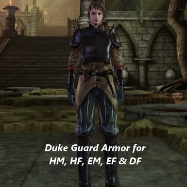 Duke Guard Armor