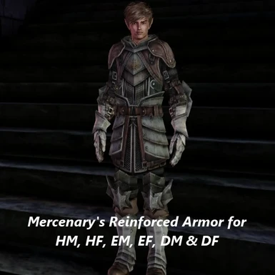 Mercenary Reinforced Plate Armor