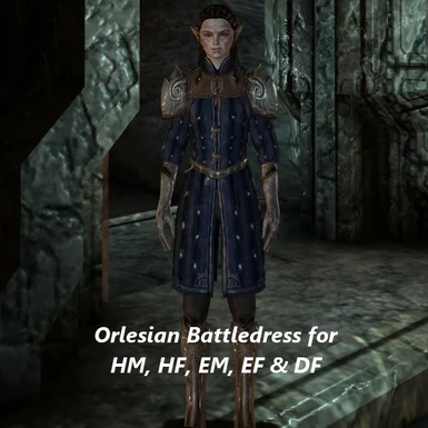 Orlesian Battledress