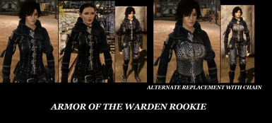 ARMOR OF THE WARDEN ROOKIE
