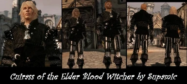 Elder Blood Witcher