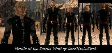 RLs Witcher Emporium at Dragon Age: Origins - mods and community