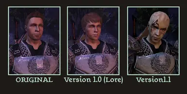 Companions image - Crown of Creation mod for Dragon Age: Origins - Mod DB