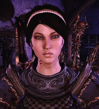 Companions image - Crown of Creation mod for Dragon Age: Origins - Mod DB