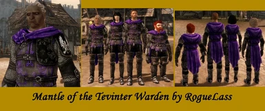 Tevinter Warden