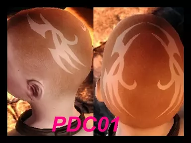 PDC01