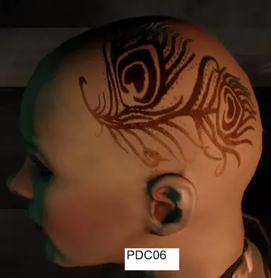 PDC06
