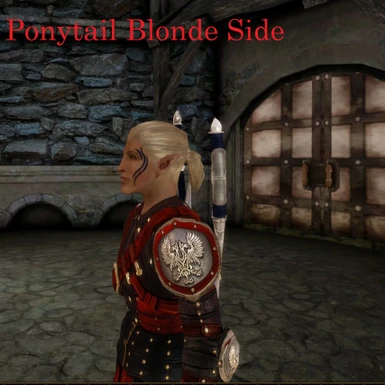 Ponytail Blonde Side