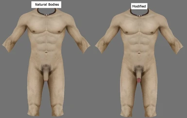 modification of Natural bodies