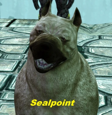 Sealpoint