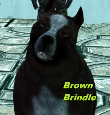 Brown Brindle