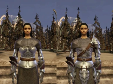 dwarf proportions file - tmp7704 mod for Dragon Age: Origins - ModDB
