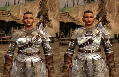 dwarf proportions file - tmp7704 mod for Dragon Age: Origins - ModDB