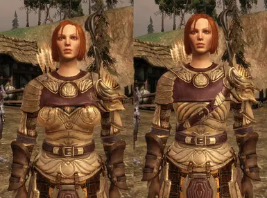 dwarf proportions file - tmp7704 mod for Dragon Age: Origins - ModDB