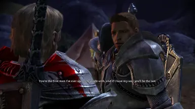 Radiator Blog: Dragon Age: Origins is the First Game About Gay Marriage +  The Power of Mods