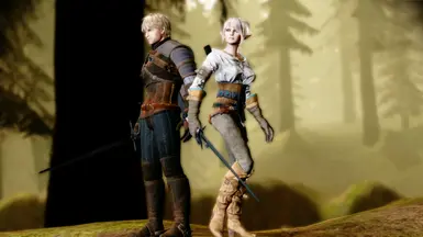 The Witcher 3 Wardrobe at Dragon Age: Origins - mods and community