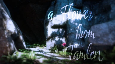 A Flower from Tamlen - Dalish Elf Origin Romance