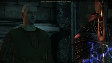 Dragon Age Origins: Human Commoner Origin 