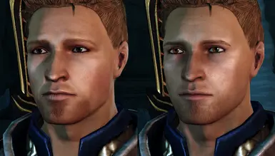 Unique Face Textures for Companions DAO Edition