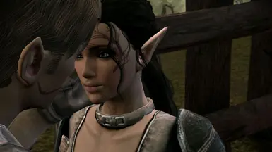 Kissing Tamlen - Dalish Elf Origin Romance at Dragon Age: Origins - mods  and community